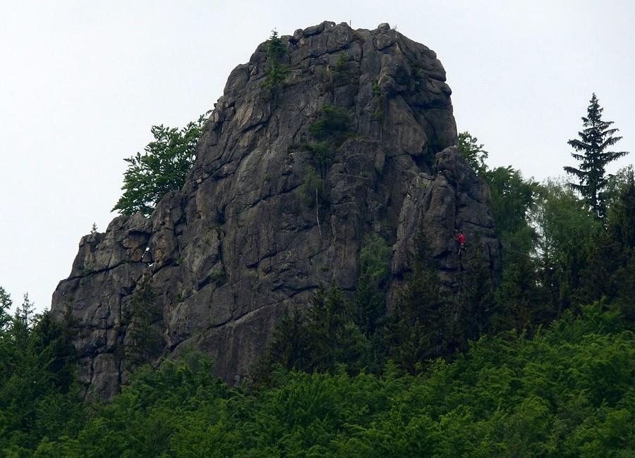 Sokolik w szczególe