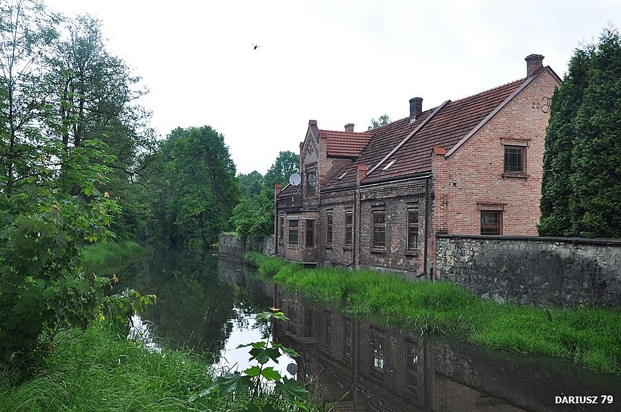 Okradzionów - Dąbrowa Górnicza (Biała Przemsza)