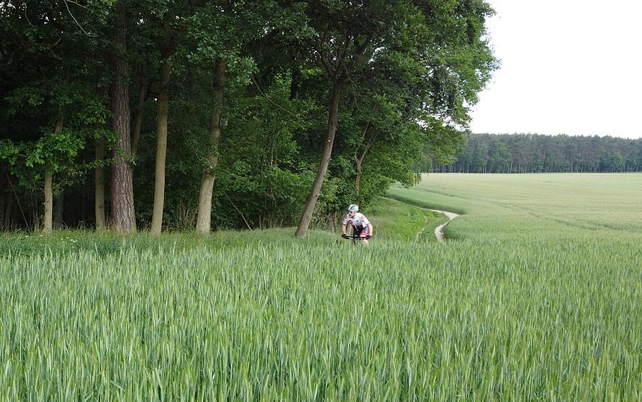 Niski pułap lotu drona daje takie fajne ujęcia