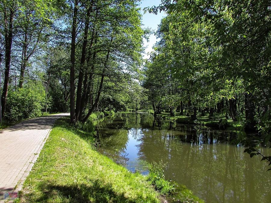 DDR nad Jeziorką