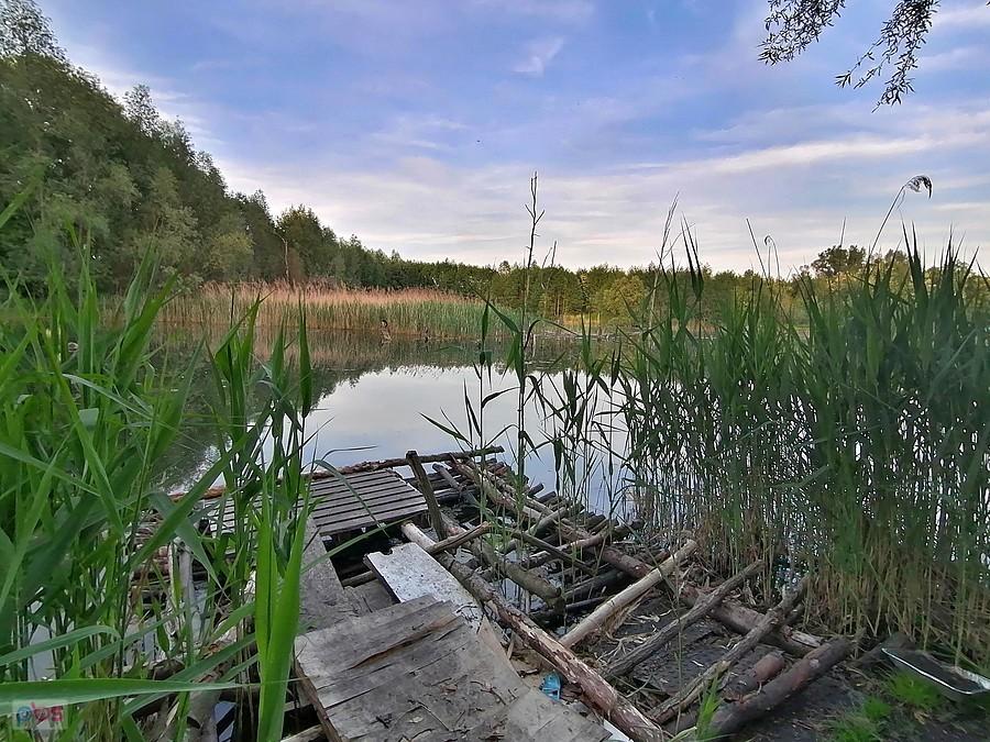 Staw Trójkąt