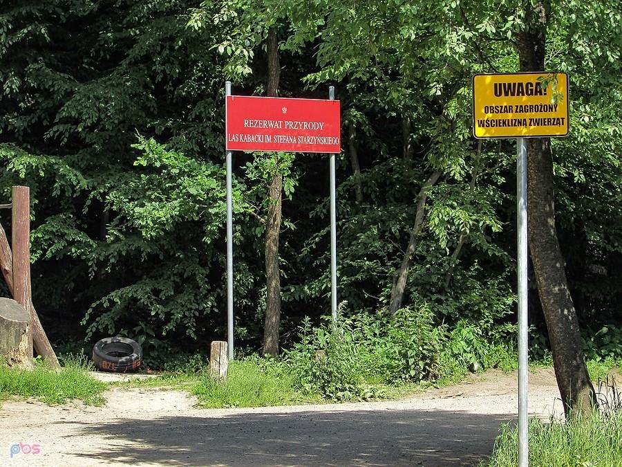 Wejście do Lasu Kabackiego od strony Józefosławia
