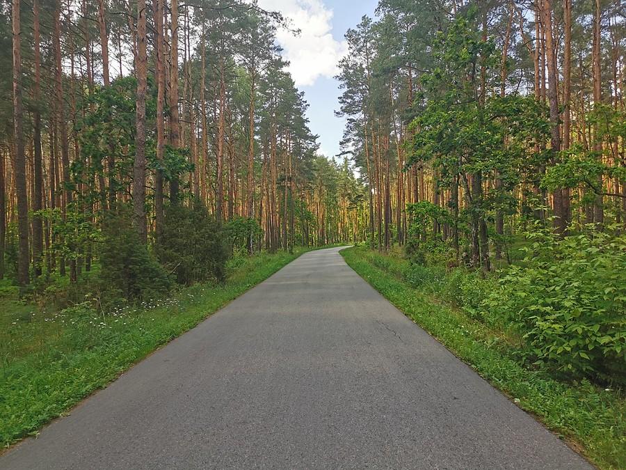 Górki - Wilków