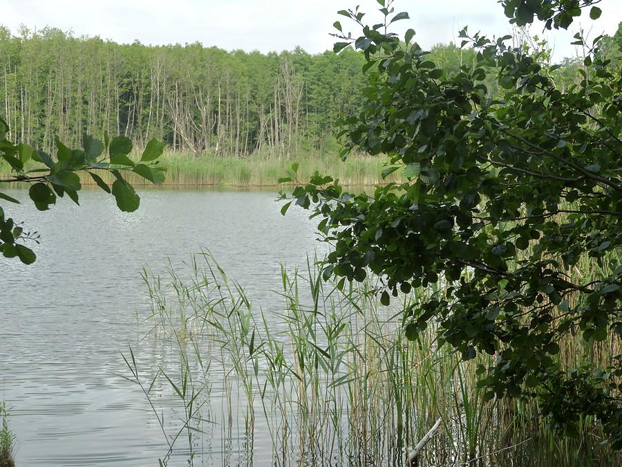 Po drugiej stronie jeziora Głębokie.