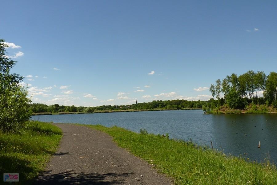 Brandtka