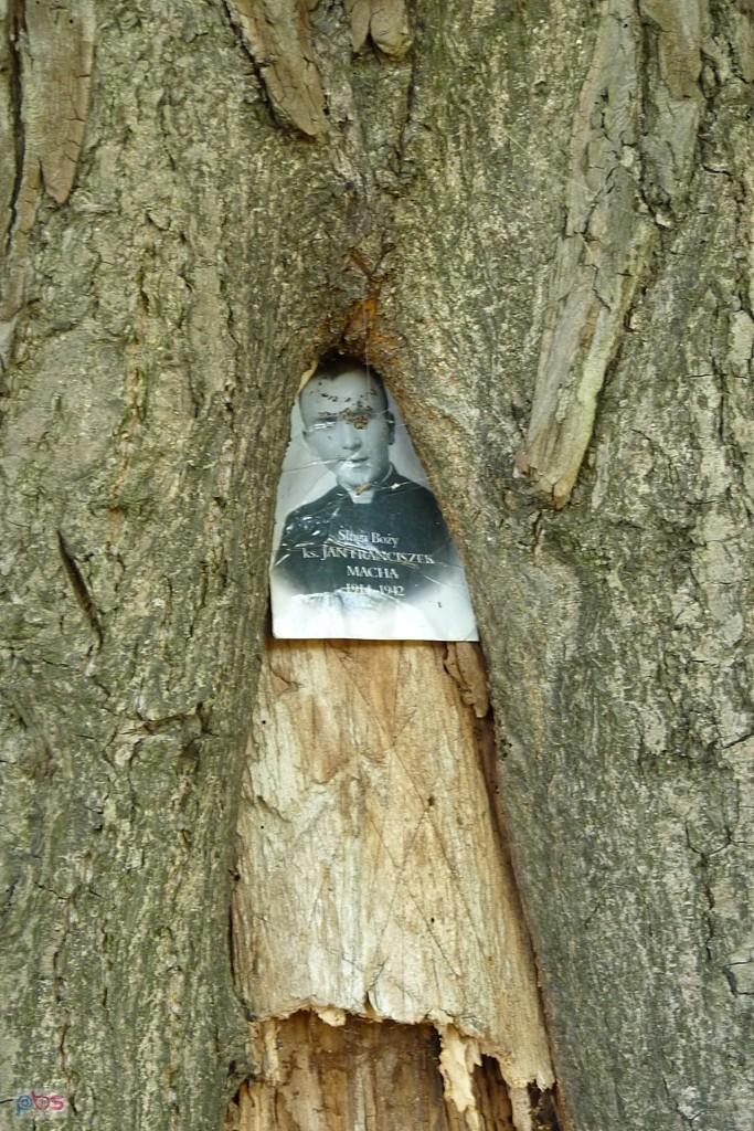 ksiądz Jan Macha