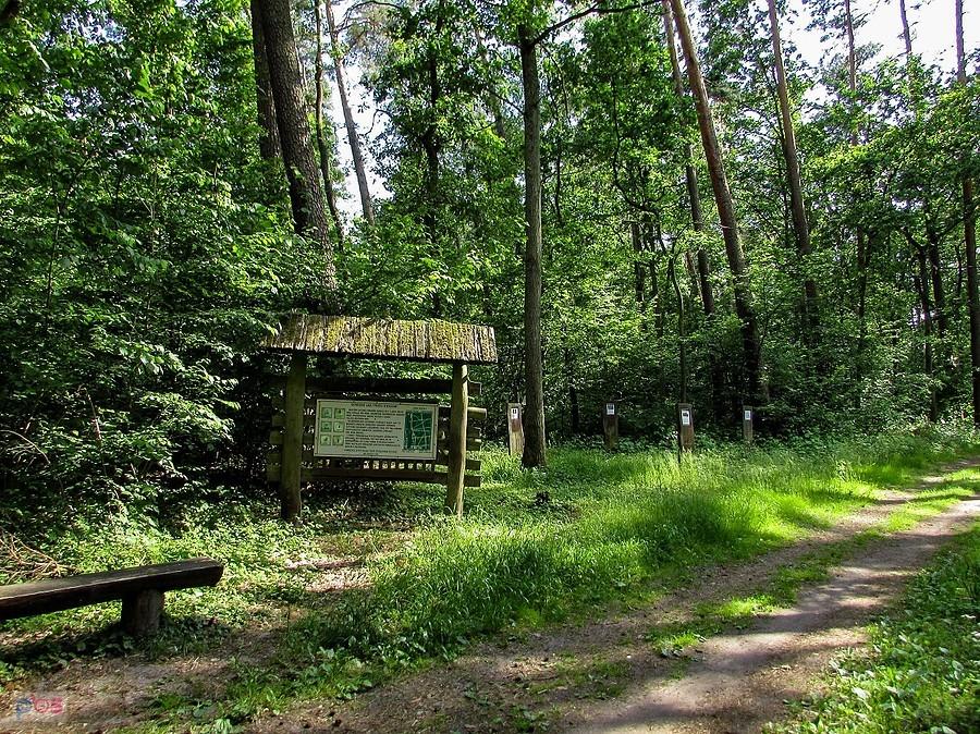 Przystanek na ścieżce edukacyjnej