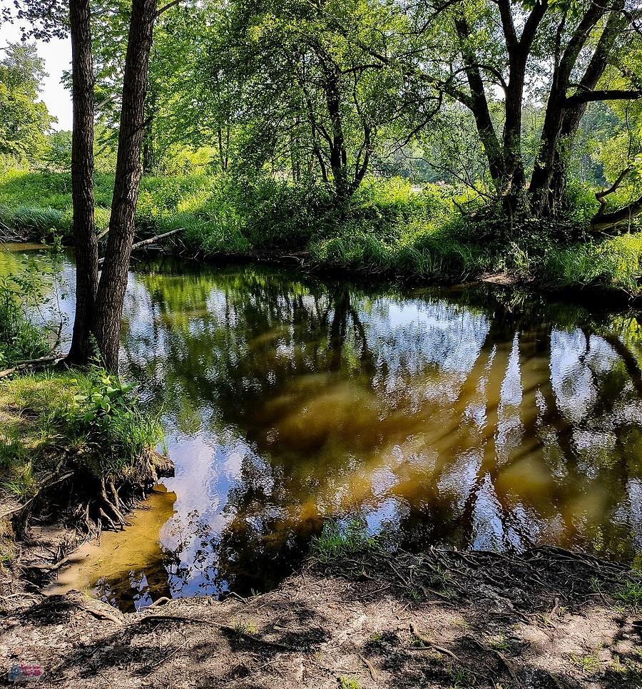 Kąpielisko na Zielonej