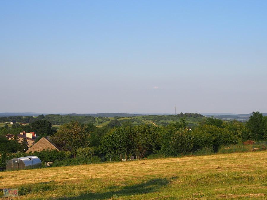 Garb Tarnogórski