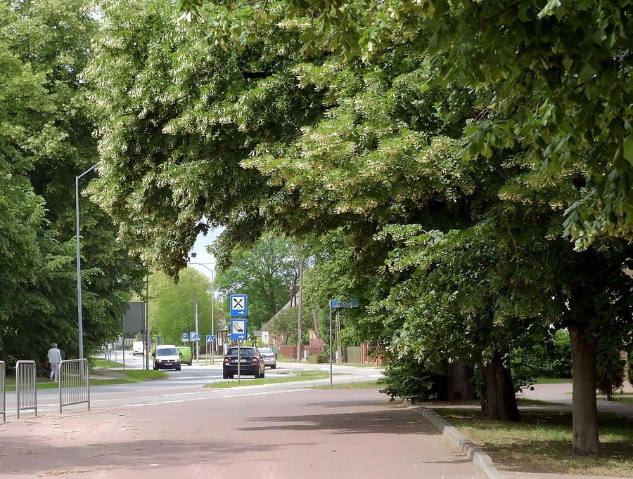 Fragment Wołczkowa.