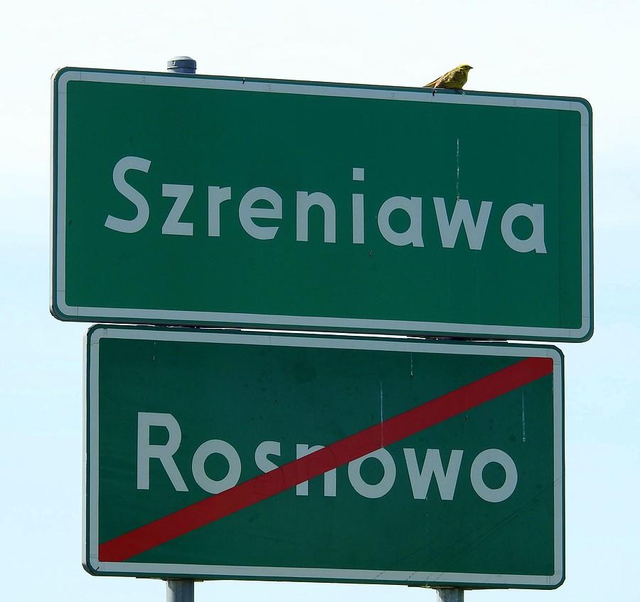 Strażnik granic czuwa :)