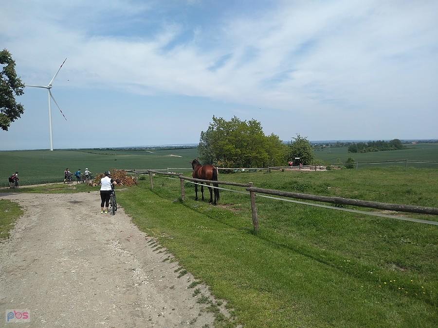 Żuławska Kolej Ogrodowa