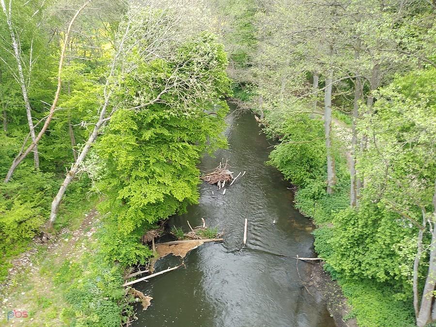 Rzeka Wierzyca