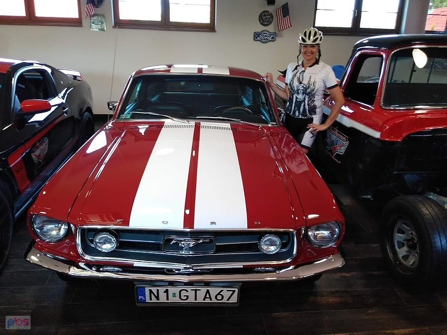 Czerwona Ford Mustang z białymi pasami w muzeum samochodowym