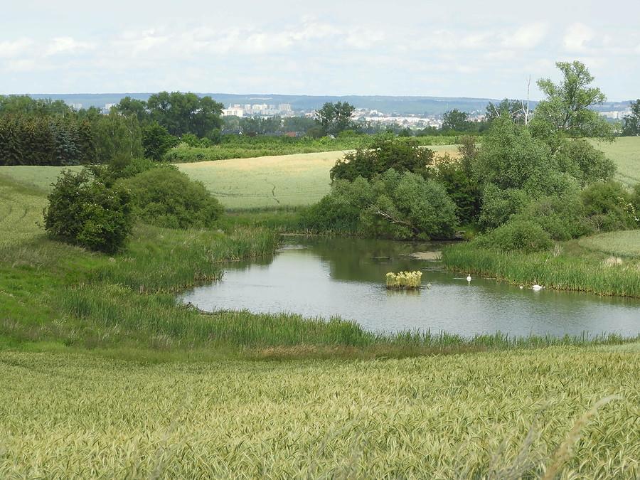 Uroczą ddr'ką Karwowo - Przecław.