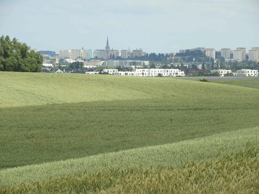 Widok na Szczecin ze ścieżki rowerowej Karwowo- Przecław.