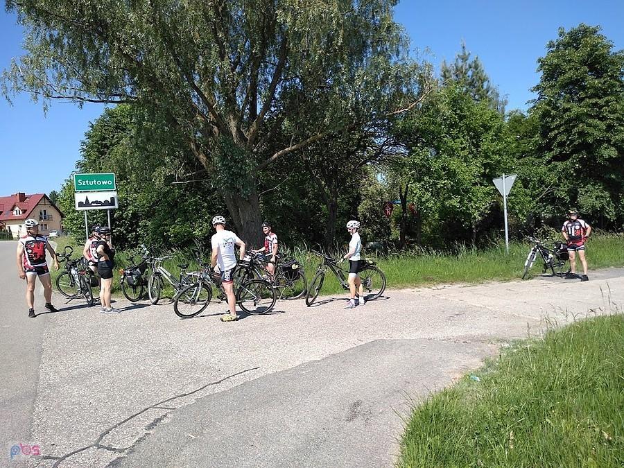 Grupa rowerzystów na drodze koło Sztutowa
