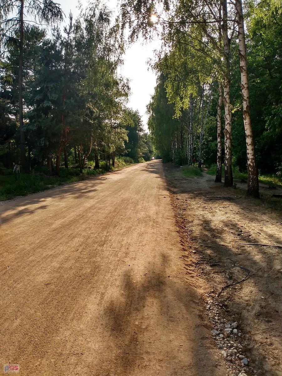 Droga na skraju lasu już wyremontowana, bardzo dobrze się nią jedzie