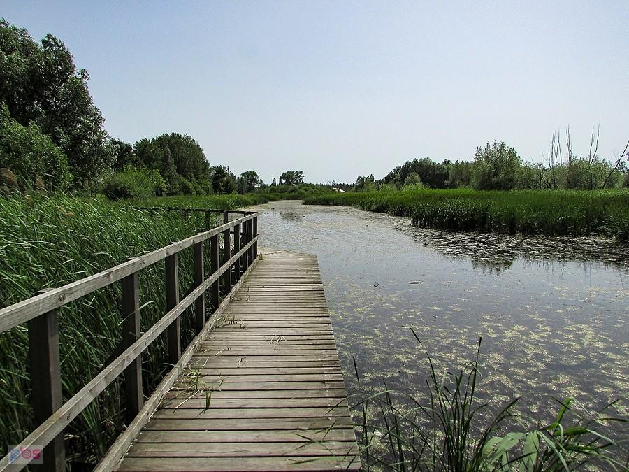 Jezioro Zgorzała