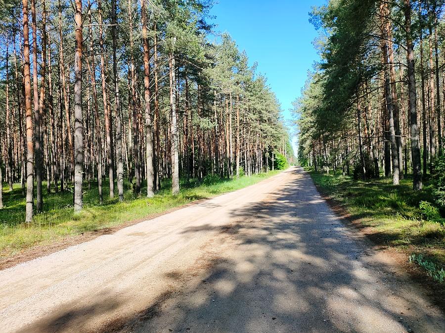 Szutrostrada Karwica - Binduga Lasek