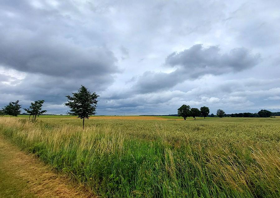 Chmury nad Lisówkami