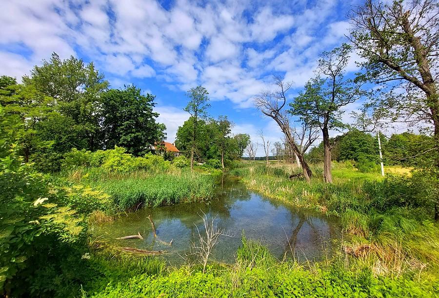 Bagno w Trzcielinie - wersja pochmurno-ładna