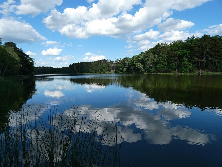 Jezioro Rzepsko