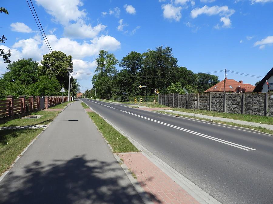Tanowo - w drodze do Dobieszczyna.