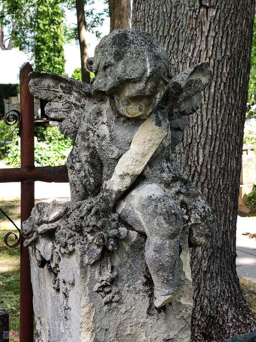 Zapomniany aniołek