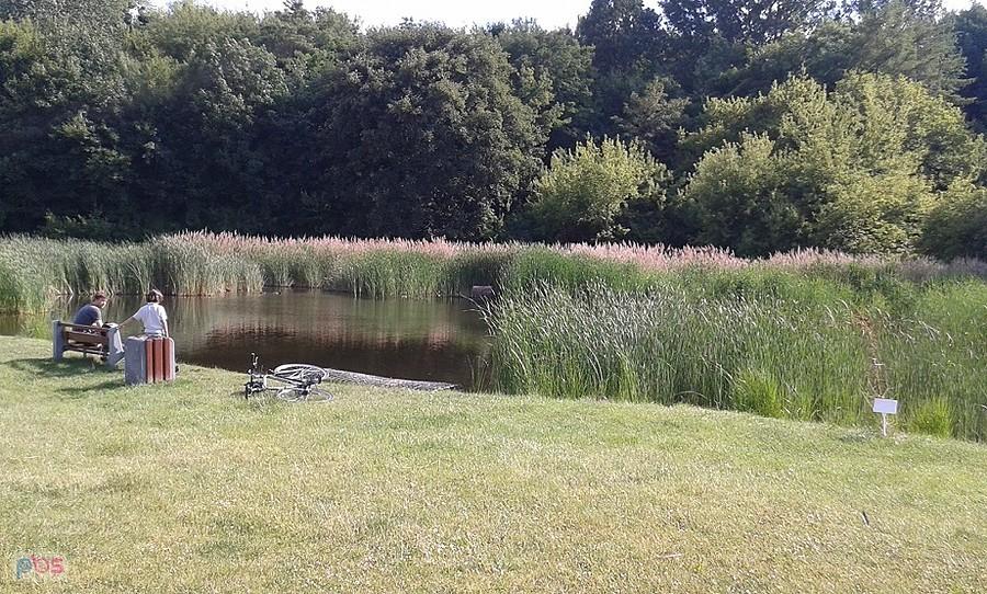 Staw Warszawianka ciągle jeszcze dzika przyroda, choć na wschodnim brze3gu budowany jest kolejny blok. Betonować, betonować i jeszcze raz betonować Warszawę.