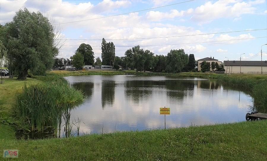 Staw Pozytywka swą orginalną nazwę ma od ulicy , która jest do niego przyległa. A może było na odwrót?