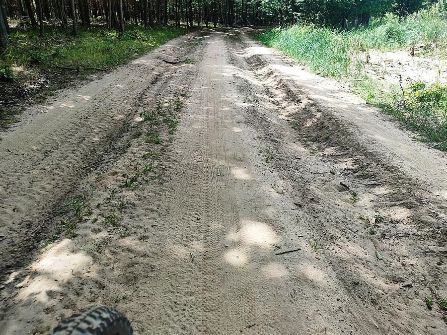 Myślałem, że naprawli drogi po wycinkach, niestety, nie wszystkie.