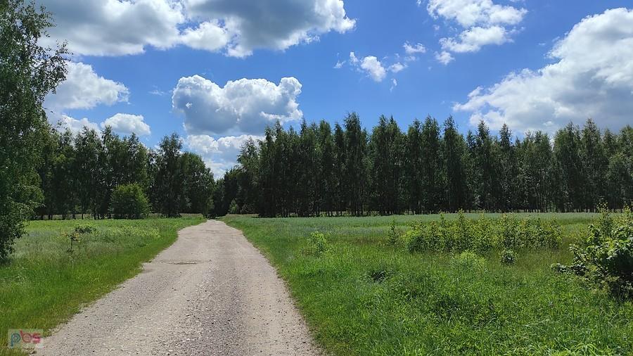 Gdzieś na szlaku