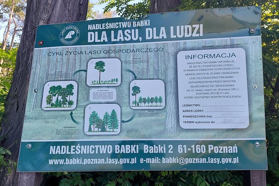 Propaganda rzeźników z Lasów Państwowych