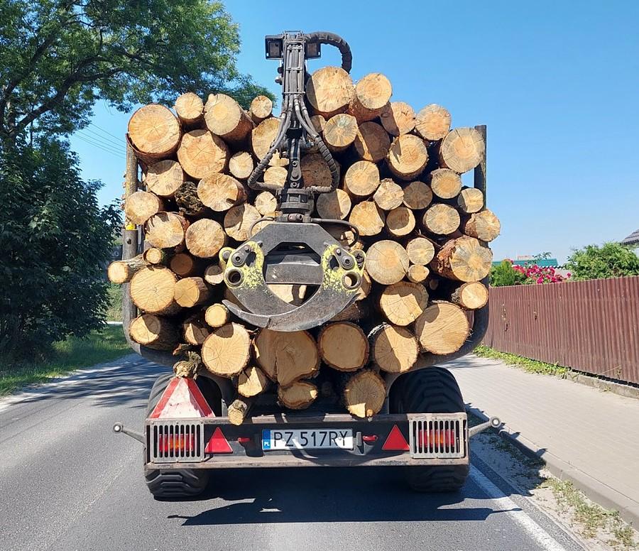 Leśny rzeźnik choć raz się przydał i dał sobie usiąść na kole