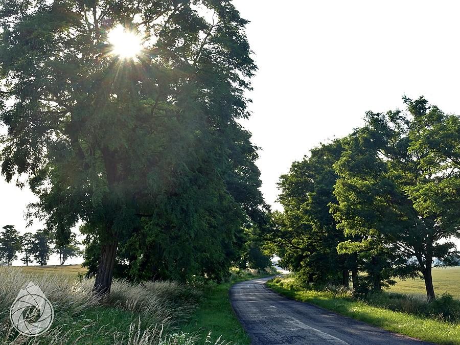 popłudniowa szosa gdzies koło Namysłowa
