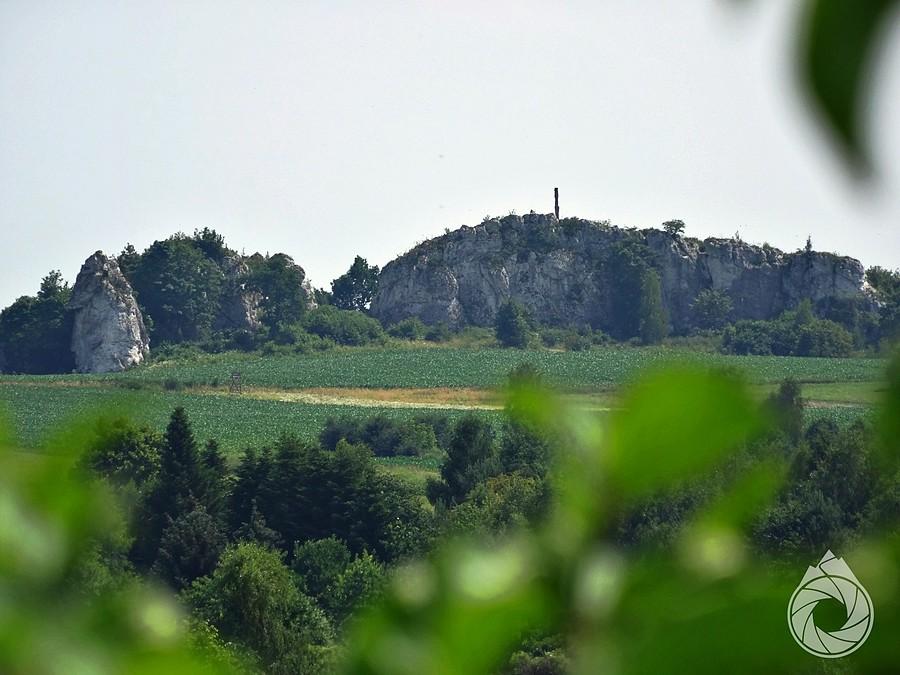Skała 502 zza krzaków nad Sąspowem