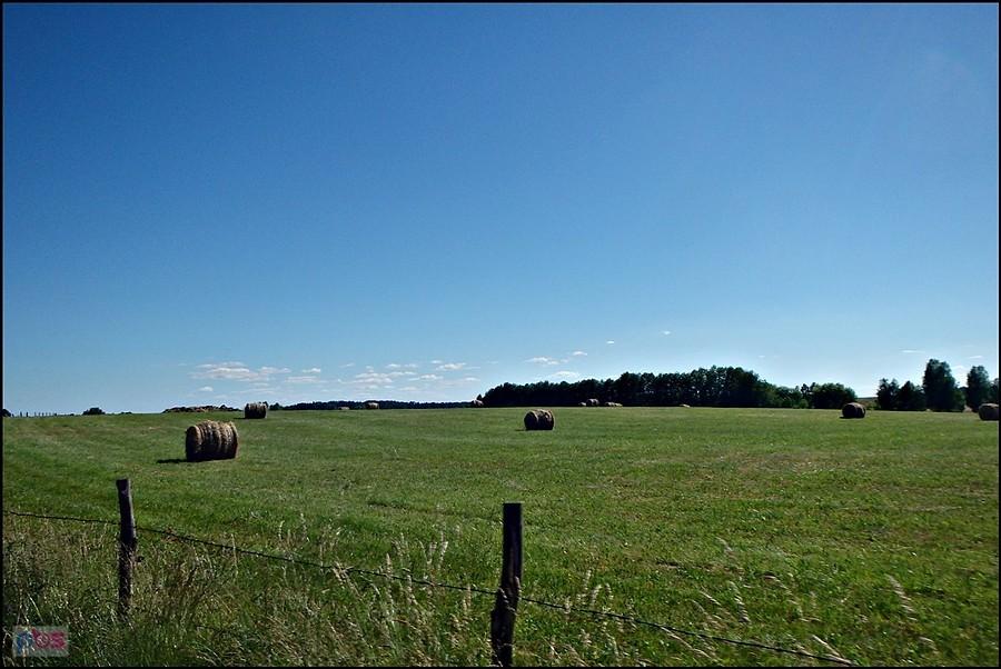 Snopki związane sznurkiem