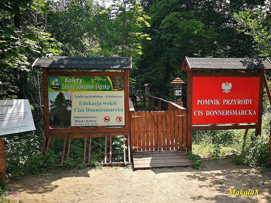 Teraz, nie można go nie zauważyć.