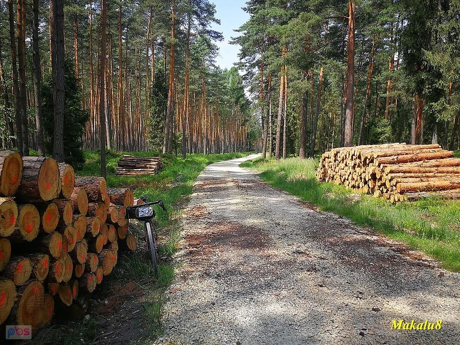 Jagodowy "pit stop".
