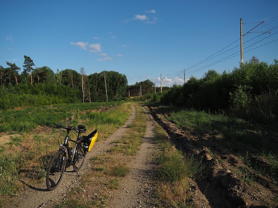 Kolejna wycinka i obwodnica kolejowa Rzepina