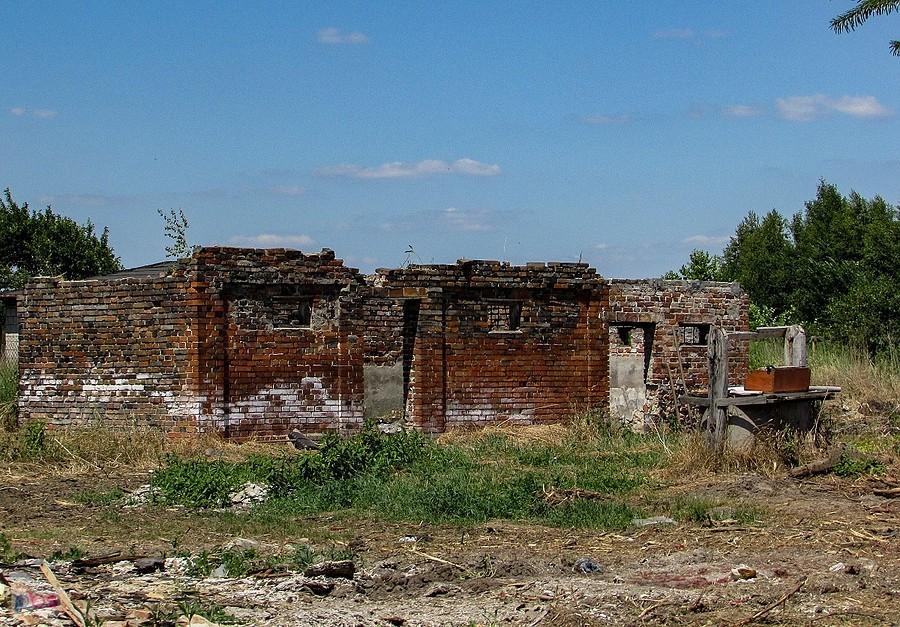 Po zagrodzie na Baletowej pozostały ruiny stajni i studnia