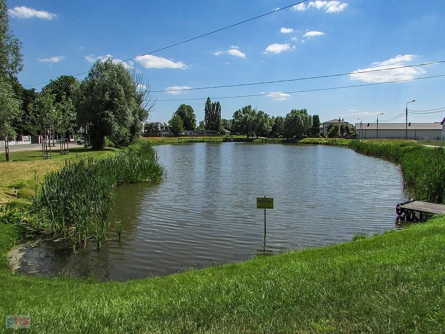 Staw Pozytywka