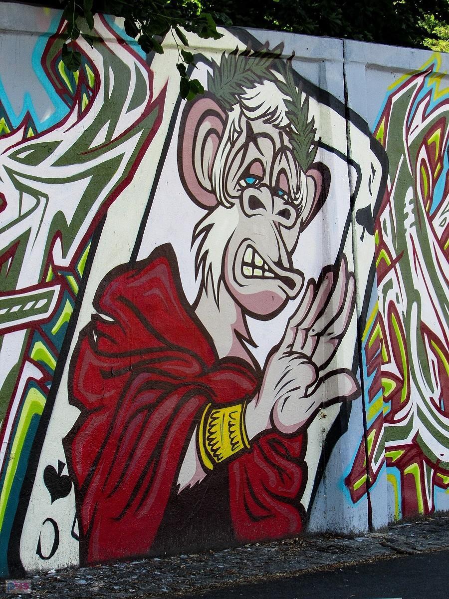 Pikowa małpa