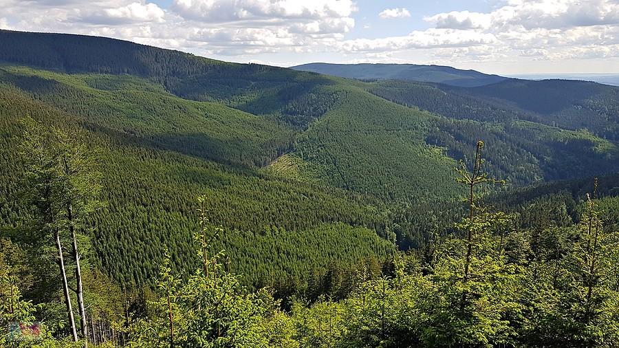 Widoki z czerwonego szlaku (cyklotrasa)