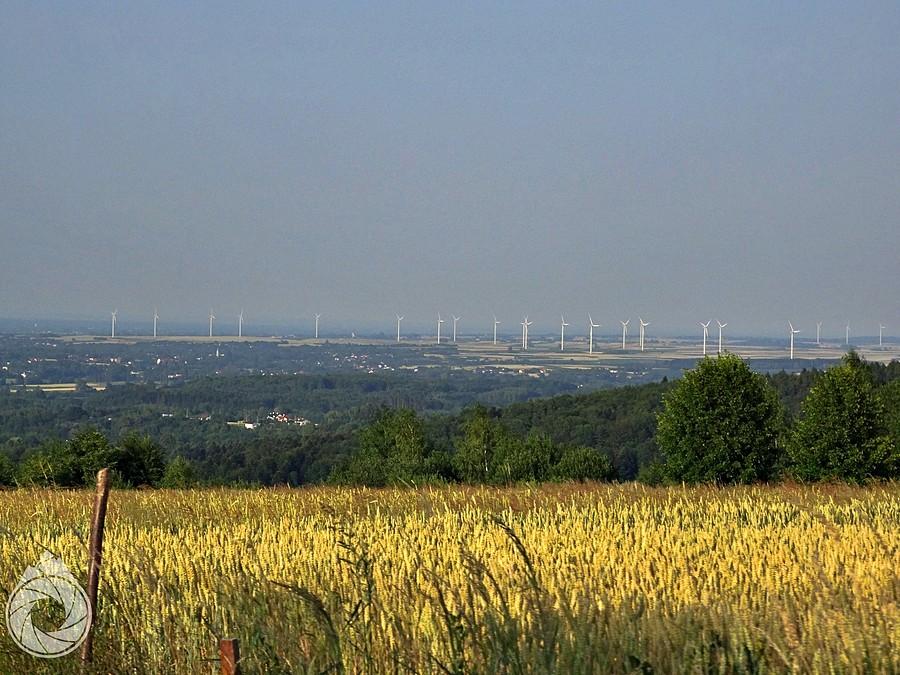 wiatraczki przeworskie znad Cierpisza