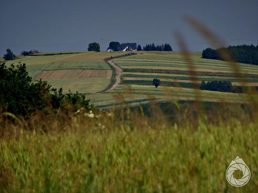 boczne hopy podkarpackie między polami