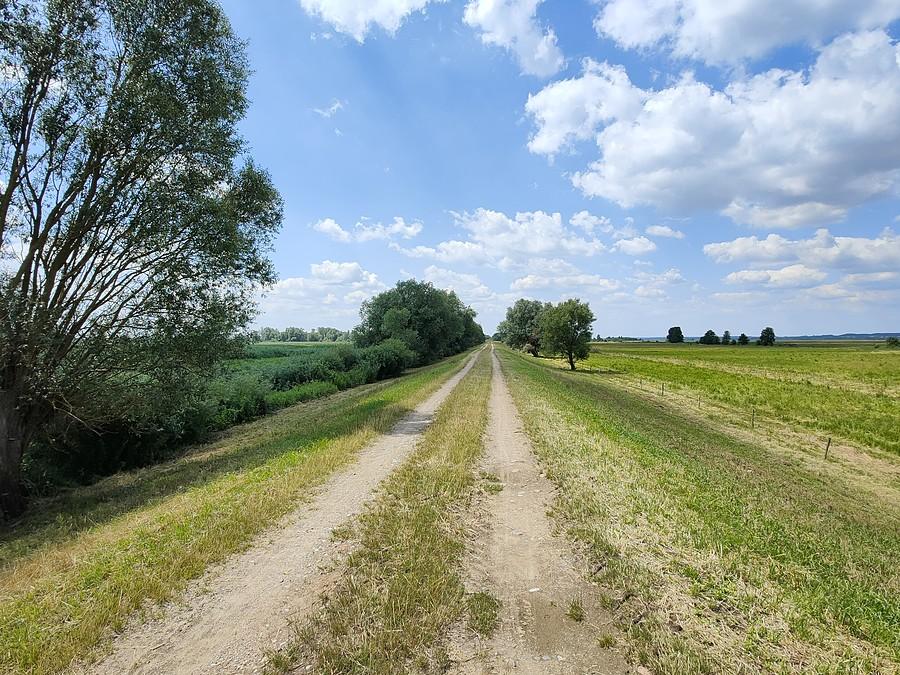 Rowerem Przez Polder Północny - wał przeciwpowodziowy
