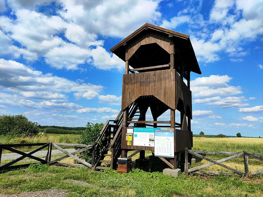 Wieża widokowa "Olszynki"