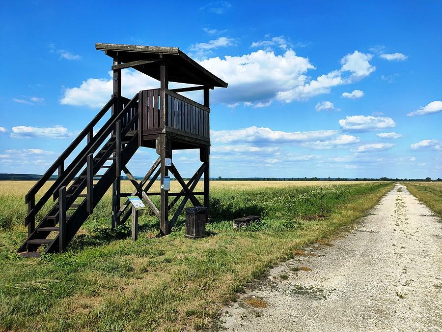 Wieża widokowa przy Żółtej Drodze
